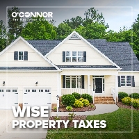 Wise Property Taxes